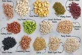 Beans