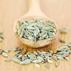Fennel Spices