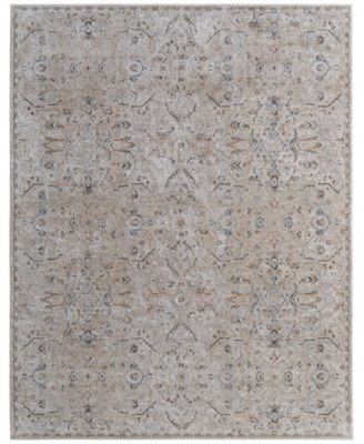 Feizy Ковер Pasha 5',x7',6 , (152x229 см) с классическим узором, высота ворса 1 см, устойчивый к пятнам 11228560