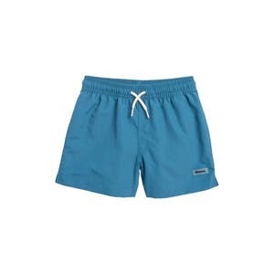 Молодежные плавательные шорты Pacsun с эластичным поясом и задним карманом, 100% нейлон 10047746