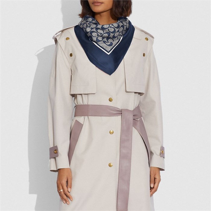 Coach Шелковый квадратный шарф с принтом лошадей и повозок, размер 88?88 см 11232584