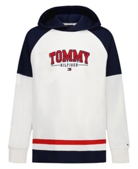 Худи с оригинальным дизайном от Tommy Hilfiger для мальчиков, смесь 60% хлопка и 40% полиэстера 11022739