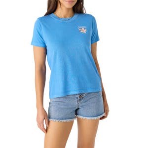 Графическая хлопковая футболка с круглым вырезом Cabana Fill от O',Neill, 100% хлопок 10041404