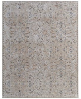 Feizy Ковер Pasha 7',10 ,x10',3 , с классическим узором, мягким ворсом 1.1 см, стойкий к пятнам, уютный для дома 11233078