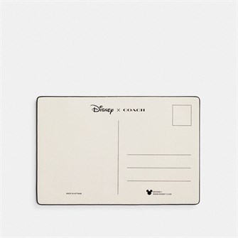 Гладкий кожаный кошелек размером 14.6 см x 9.5 см с дизайном Disney x Coach 11207902