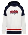 Худи с оригинальным дизайном от Tommy Hilfiger для мальчиков, смесь 60% хлопка и 40% полиэстера 11022739