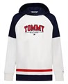 Худи с оригинальным дизайном от Tommy Hilfiger для мальчиков, смесь 60% хлопка и 40% полиэстера 11022739