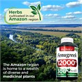 Fito Medic',S Пажитник в капсулах, 300 капсул, 12000 мг концентрата семян, с высокой степенью усвоения, для поддержания здоровья 11081667