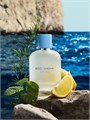 Dolce &amp, Gabbana Туалетная вода Light Blue Pour Homme, свежий мужской аромат с лимоном и пачули, 125 мл 10043354