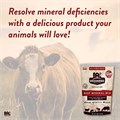 Redmond Минеральная смесь для скота с 60+ микроэлементами: фосфор, кальций, магний, селен, витамины A, D, E 11106582
