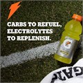 Gatorade Спортивный напиток G2 для утоления жажды, фруктовый пунш, 12 унций, 12 штук, электролиты для регидратации, 20 калорий на порцию 11062466