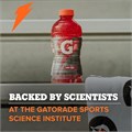 Gatorade Спортивный напиток G2 для утоления жажды, фруктовый пунш, 12 унций, 12 штук, электролиты для регидратации, 20 калорий на порцию 11062466