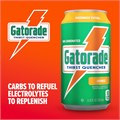 Gatorade Энергетический спортивный напиток со вкусом фруктового пунша, 12 унций, упаковка из 18 банок, 80 калорий 11073272