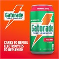 Gatorade Энергетический спортивный напиток со вкусом фруктового пунша, 12 унций, упаковка из 18 банок, 80 калорий 11073272