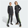 Молодёжные спортивные брюки adidas Originals в стиле casual, идеальны для отдыха и повседневной носки 11038020