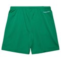 Зеленые мужские сетчатые шорты Mitchell &amp, Ness Boston Celtics Hardwood Classics 10044897