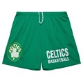 Зеленые мужские сетчатые шорты Mitchell &amp, Ness Boston Celtics Hardwood Classics 10044897