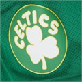 Зеленые мужские сетчатые шорты Mitchell &amp, Ness Boston Celtics Hardwood Classics 10044897