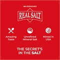 Redmond Морская соль Real Sea Salt – натуральная, нерафинированная, без глютена, 11,34 кг 11081329