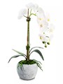 CocoBella Орхидея из шелка в керамическом горшке Victoria, реалистичная, высотой 35 см, идеальная для подарка 10045628