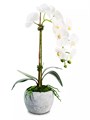CocoBella Орхидея из шелка в керамическом горшке Victoria, реалистичная, высотой 35 см, идеальная для подарка 10045628