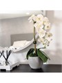CocoBella Орхидея из шелка в керамическом горшке Victoria, реалистичная, высотой 35 см, идеальная для подарка 10045628