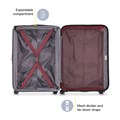 Delsey Paris Набор из 2 жестких чемоданов Alexis (21',',/25',',) с расширяемым механизмом и поворотными колесами 10044735