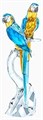 Swarovski Фигурка попугая из кристаллов, голубая и жёлтая, 1',475 граней, романтичный дизайн, выполнена вручную 11102322