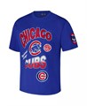 Молодежная футболка с коротким рукавом Chicago Cubs Pro Standard с заниженными плечами 11222868