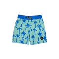 Детские шорты с рисунком пальмы от Feather 4 Arrow, влагоотводящая ткань, защита UPF 50+ 10048501