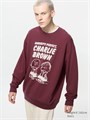 Uniqlo Толстовка PEANUTS 75 лет, 100% хлопок, стандартный крой, без карманов 11165819