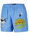 Мужские голубые шорты Leonardo Teenage Mutant Ninja Turtles с принтом и сетчатой подкладкой, Freeze Max 11177126