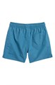 Молодежные плавательные шорты Pacsun с эластичным поясом и задним карманом, 100% нейлон 10047746