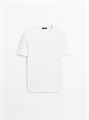 Приталенная футболка из 100% мерсеризованного хлопка от Massimo Dutti с короткими рукавами 11201897