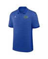 Мужское поло с полосками Florida Gators 2025 от Jordan с короткими рукавами и технологией Dri-FIT Victory Stripe 11223535