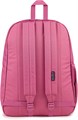 JanSport Рюкзак с большим основным отделением, карманом для бутылки и мягким отсеком для ноутбука 15 дюймов - абстрактные узоры 11244038