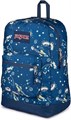 JanSport Рюкзак с большим основным отделением, карманом для бутылки и мягким отсеком для ноутбука 15 дюймов - абстрактные узоры 11244038