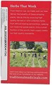 Traditional Medicinals Органический травяной чай для борьбы с простудой, с цветками бузины, 16 пакетиков, без кофеина, кошерный 11289407