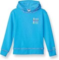 Champion Легкая и теплая детская толстовка с капюшоном для девочек, 60% хлопок, 40% полиэстер, стандартная посадка 11288084