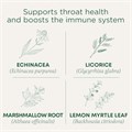 Traditional Medicinals Органический чай с лимоном и эхинацеей для здоровья горла и поддержки иммунной системы, 96 пакетиков (6 упаковок) 11294147