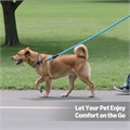 Amazon Basics Прочный и легкий поводок из переработанного полиэстера для собак всех размеров, длина 122 см 11298812