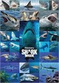 USAopoly Пазл 1000 элементов с изображением больших белых акул ',Шум акул',, эксклюзивный лицензированный дизайн 11294033