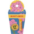 Burt',S Bees Набор для ухода за кожей Spring Surprise: бальзам для губ с ароматом дракона и лимонный крем для кутикулы, 2 шт. 11293869