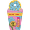 Burt',S Bees Набор для ухода за кожей Spring Surprise: бальзам для губ с ароматом дракона и лимонный крем для кутикулы, 2 шт. 11293869