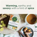 Traditional Medicinals Органический чай с куркумой, душицей и имбирем, 16 пакетиков, поддерживающий здоровую реакцию на воспаление 11305246