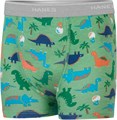 Боксеры для мальчиков Hanes для приучения к туалету, защищающие от легких протеканий, комплект из 7 штук 11290075
