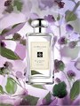 Jo Malone London Классический одеколон с ароматом ежевики и лавра, оттенки лаврового листа и кедра - 100 мл 11019396
